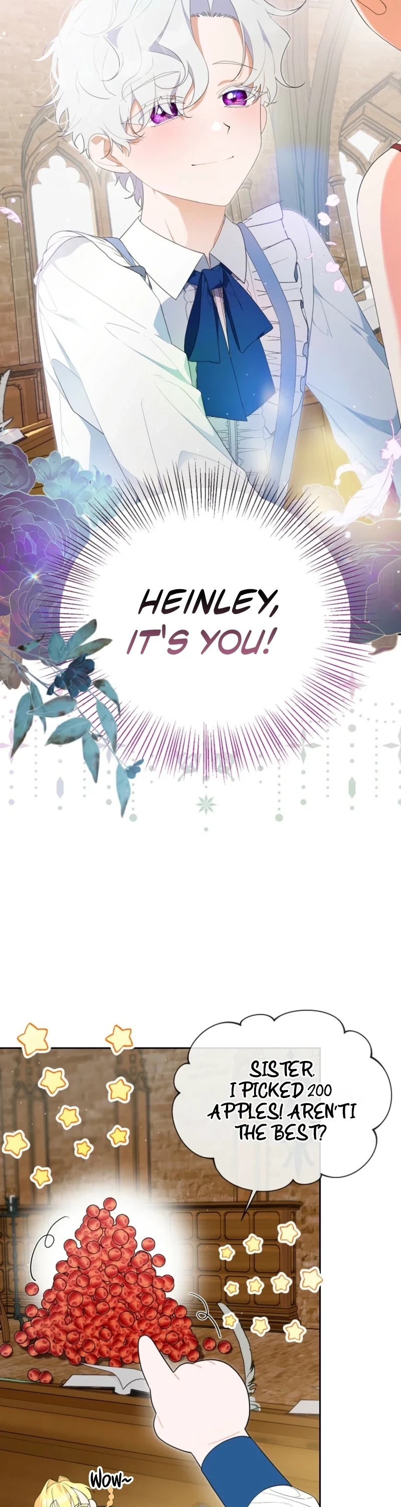 The Obsessive Male Leads Are Trying to Devour Me Chapter 10 page 17 - 