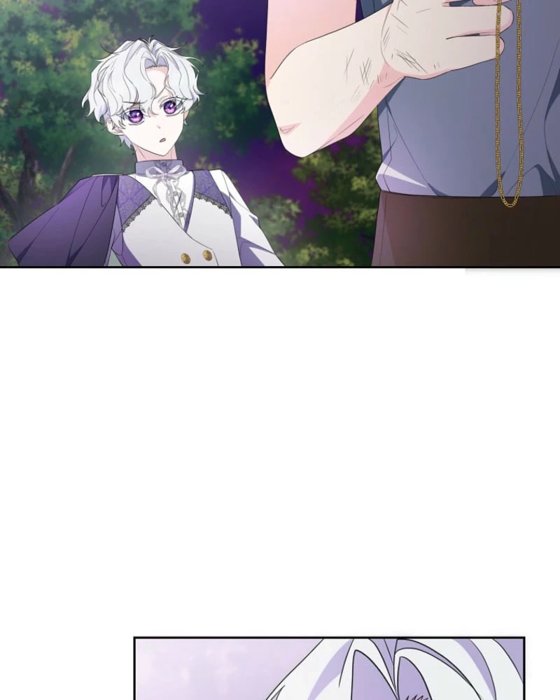 The Obsessive Male Leads Are Trying to Devour Me Chapter 21 page 29 - 