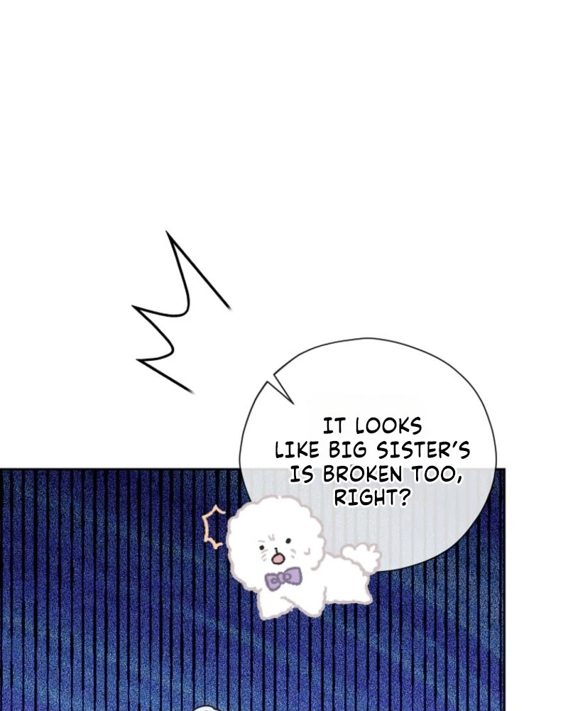 The Obsessive Male Leads Are Trying to Devour Me Chapter 21 page 33 - 