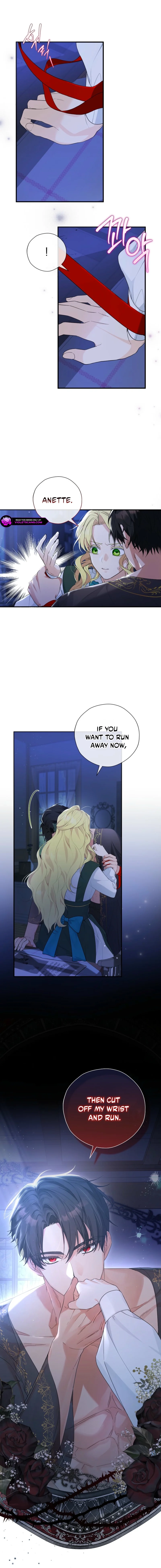 The Obsessive Male Leads Want to Eat Me Alive Chapter 1 page 9 - 