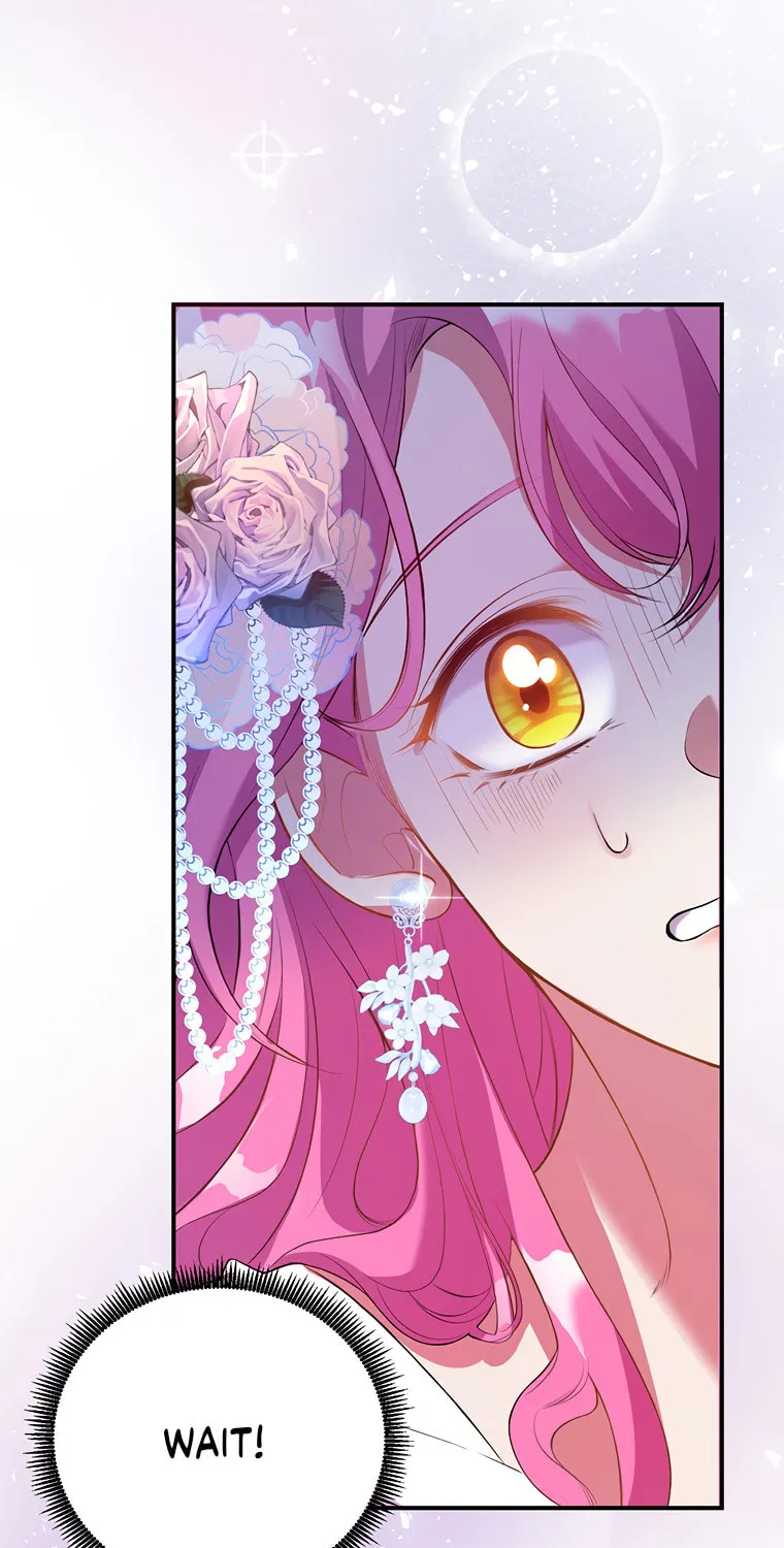 The Obsessive Second Male Lead Has Gone Wild Chapter 1 page 103 - 