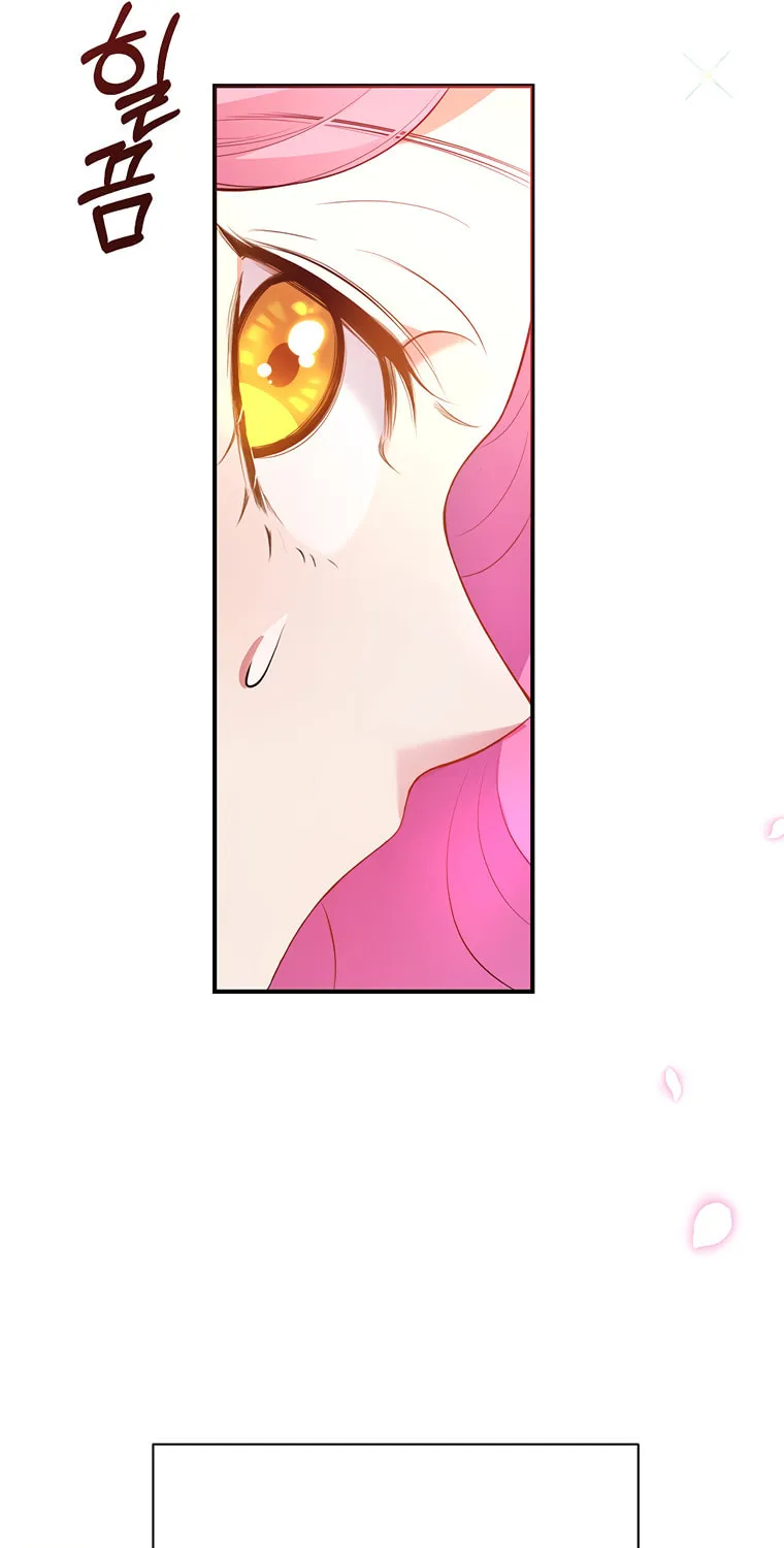 The Obsessive Second Male Lead Has Gone Wild Chapter 1 page 29 - 