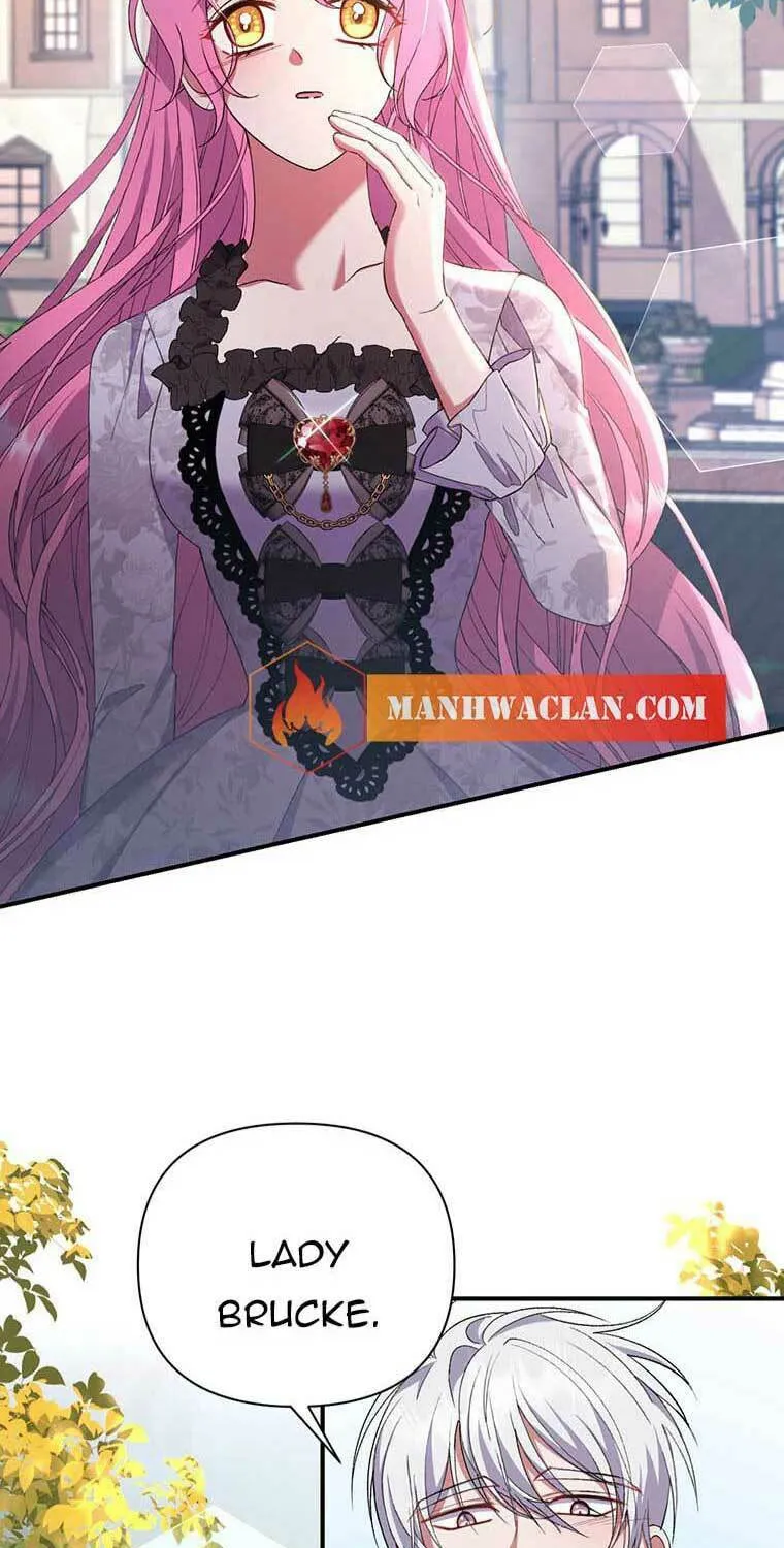 The Obsessive Second Male Lead Has Gone Wild Chapter 11 page 7 - 