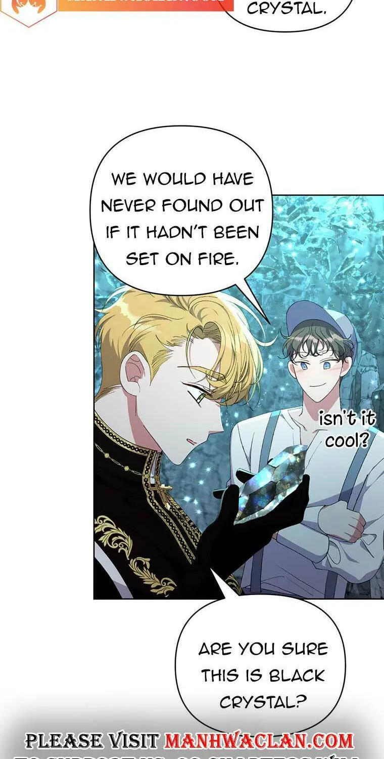 The Obsessive Second Male Lead Has Gone Wild Chapter 12 page 12 - 