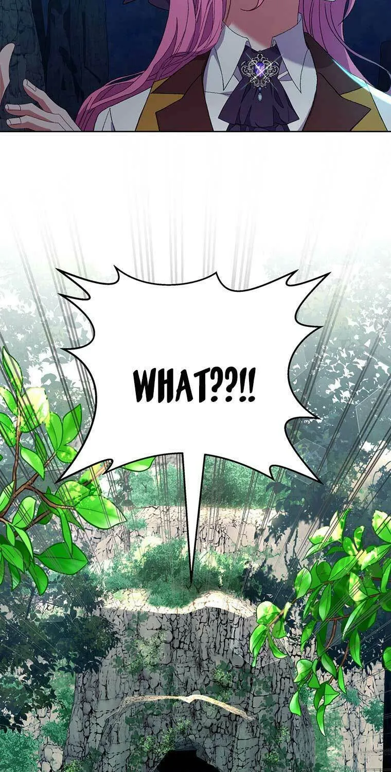 The Obsessive Second Male Lead Has Gone Wild Chapter 12 page 27 - 
