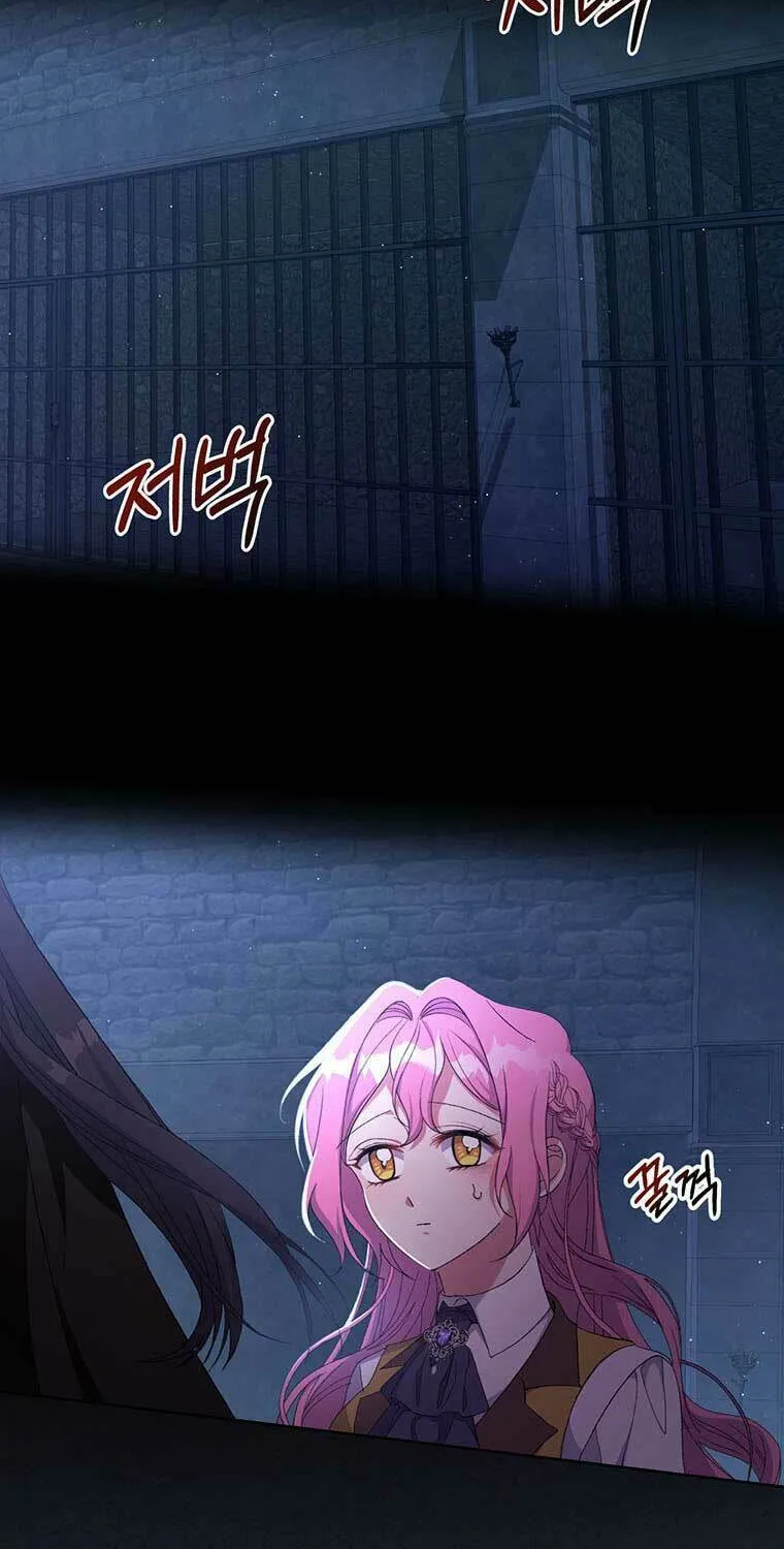 The Obsessive Second Male Lead Has Gone Wild Chapter 12 page 42 - 