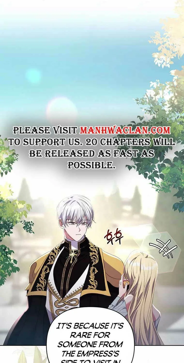 The Obsessive Second Male Lead Has Gone Wild Chapter 15 page 47 - 