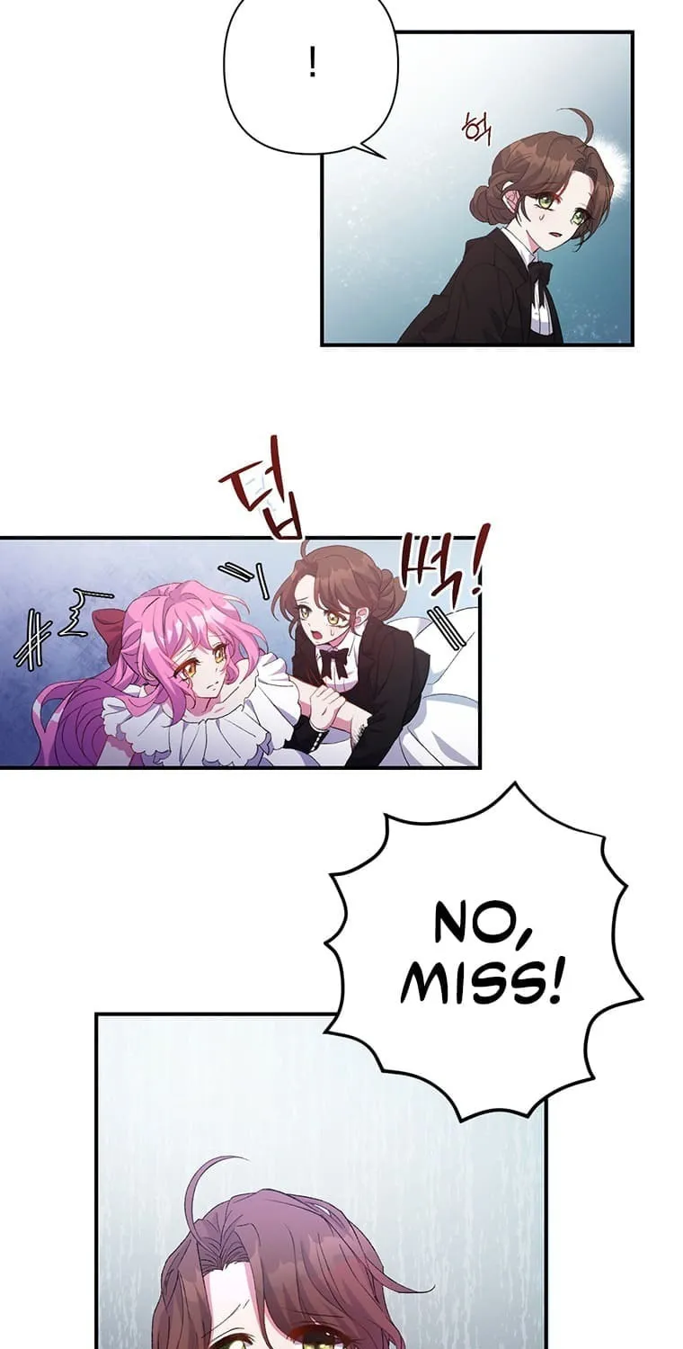The Obsessive Second Male Lead Has Gone Wild Chapter 2 page 17 - 