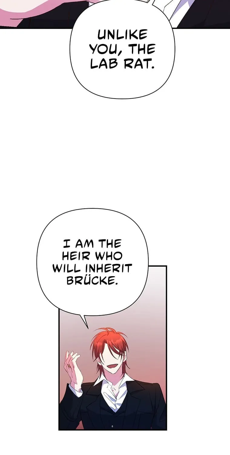 The Obsessive Second Male Lead Has Gone Wild Chapter 2 page 34 - 