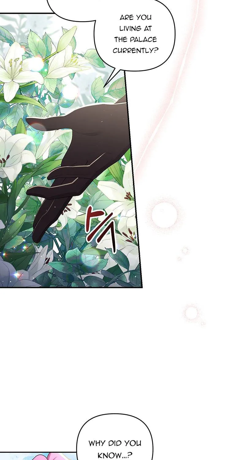 The Obsessive Second Male Lead Has Gone Wild Chapter 26 page 31 - 