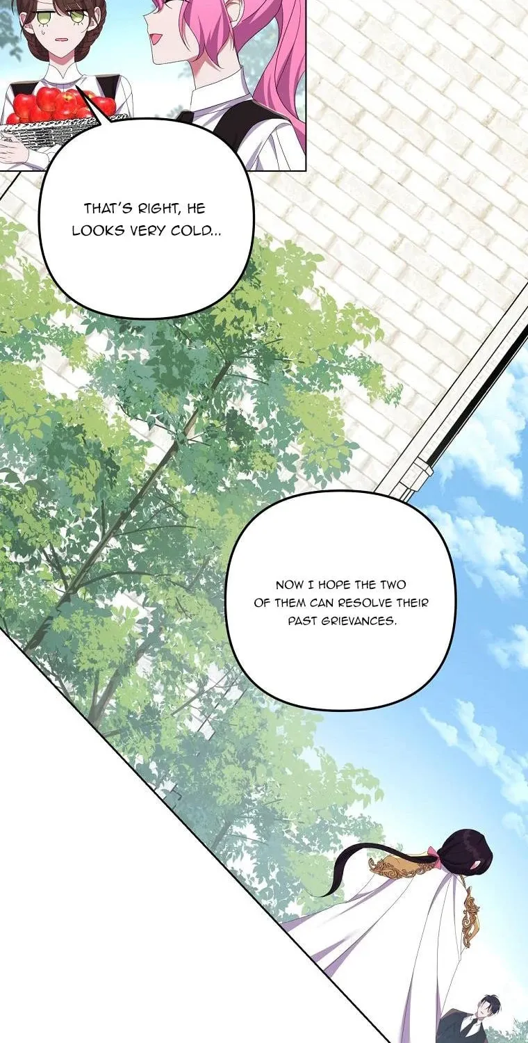The Obsessive Second Male Lead Has Gone Wild Chapter 27 page 59 - 