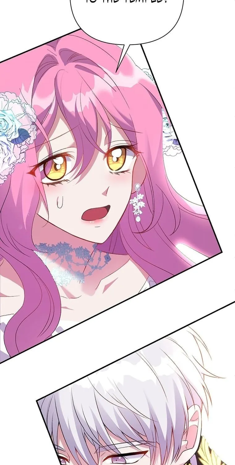 The Obsessive Second Male Lead Has Gone Wild Chapter 3 page 64 - 