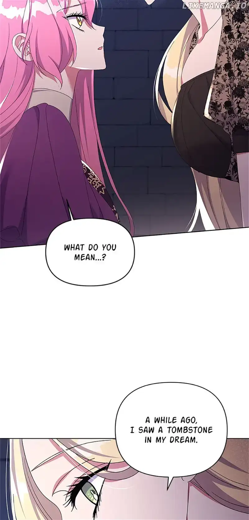 The Obsessive Second Male Lead Has Gone Wild Chapter 32 page 62 - 