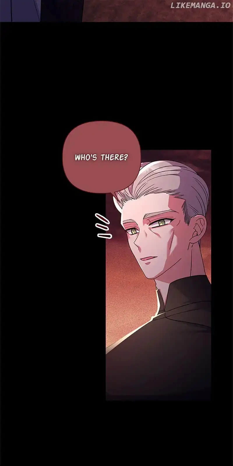 The Obsessive Second Male Lead Has Gone Wild Chapter 33 page 65 - 