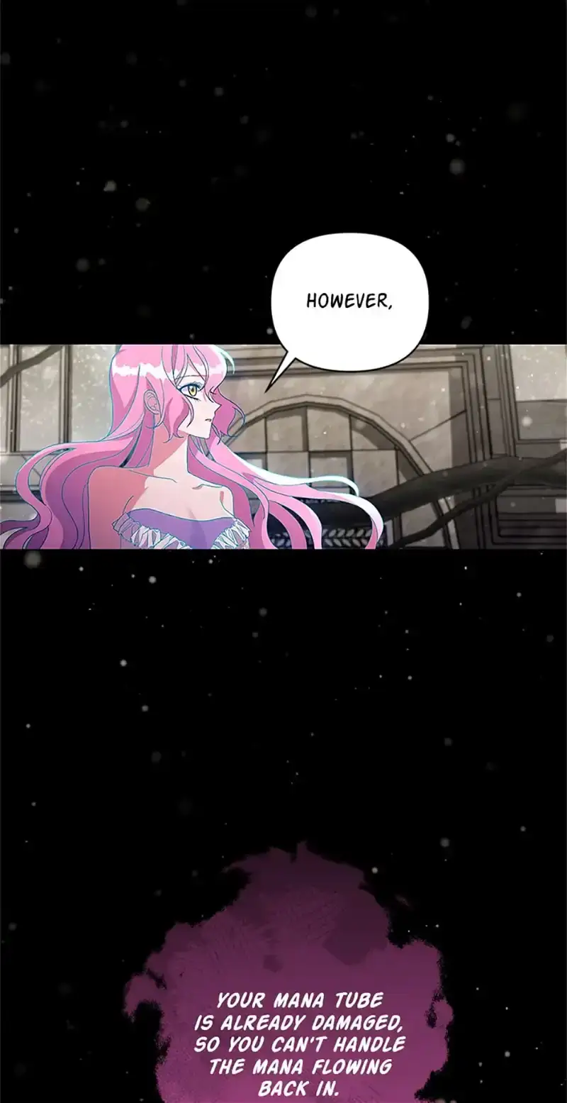 The Obsessive Second Male Lead Has Gone Wild Chapter 36 page 60 - 