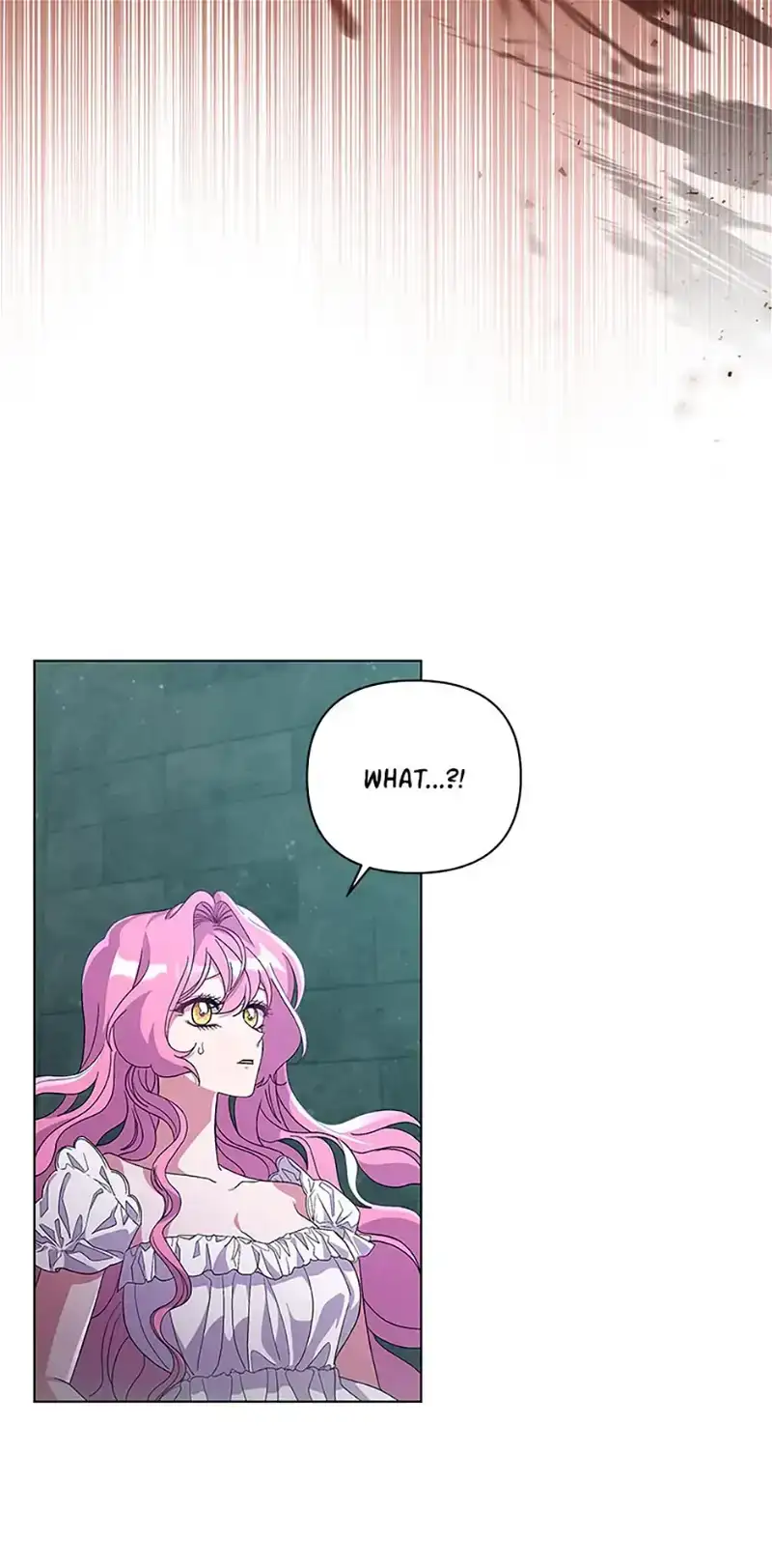The Obsessive Second Male Lead Has Gone Wild Chapter 39 page 19 - 