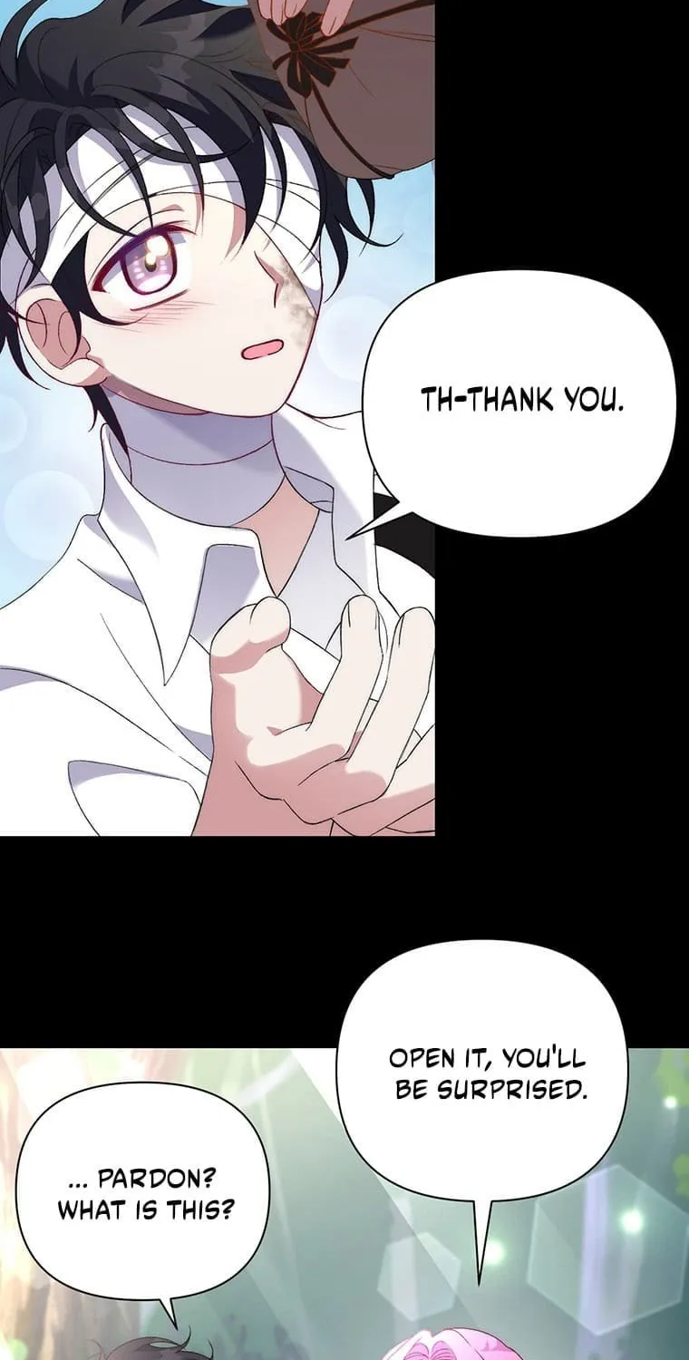 The Obsessive Second Male Lead Has Gone Wild Chapter 4 page 15 - 