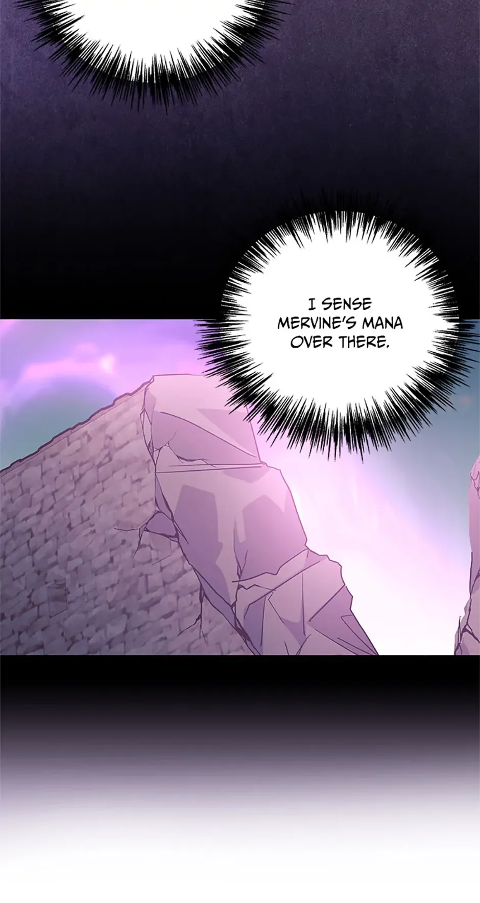 The Obsessive Second Male Lead Has Gone Wild Chapter 52 page 25 - 