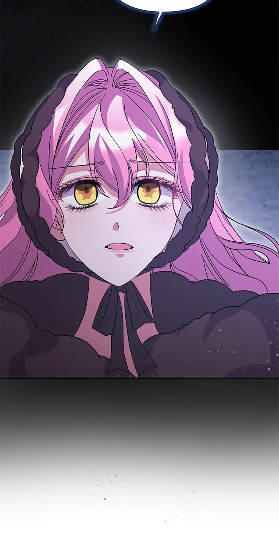 The Obsessive Second Male Lead Has Gone Wild Chapter 53 page 24 - 