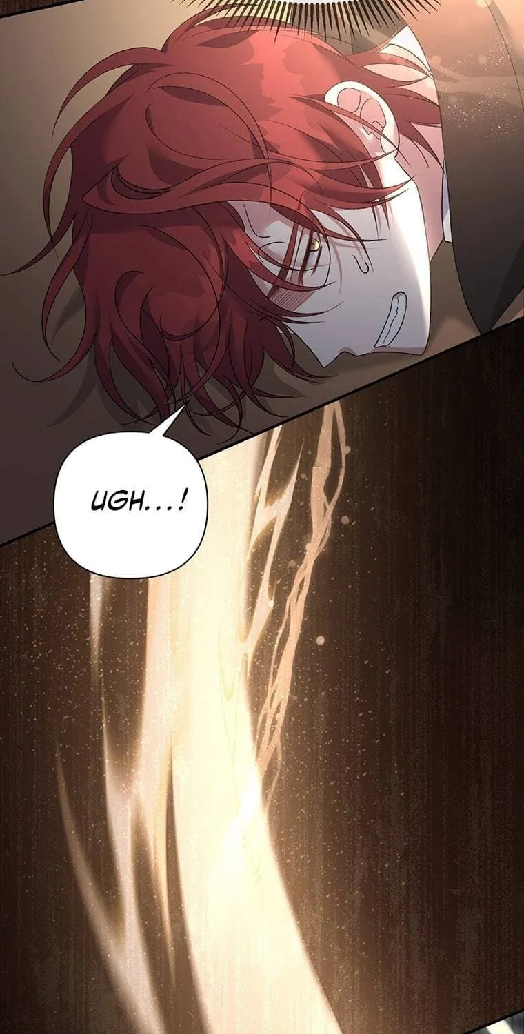 The Obsessive Second Male Lead Has Gone Wild Chapter 7 page 5 - 