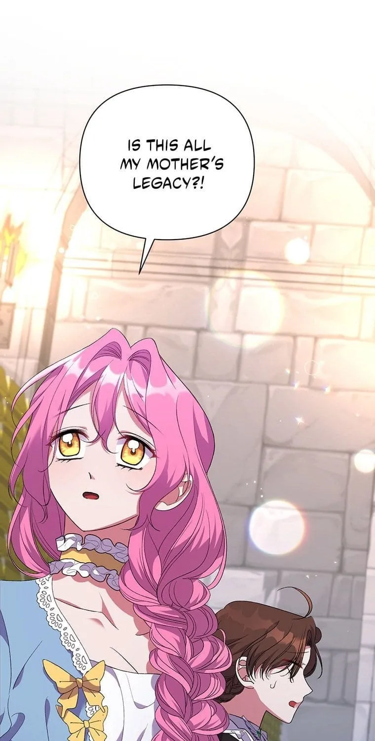 The Obsessive Second Male Lead Has Gone Wild Chapter 8 page 17 - 