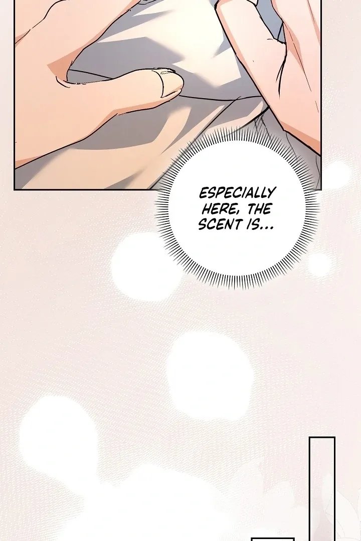The Only Way to Achieve World Peace Chapter 11 page 17 - 