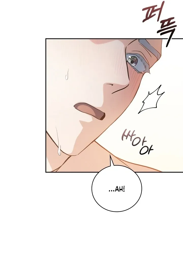 The Only Way to Achieve World Peace Chapter 11 page 43 - 