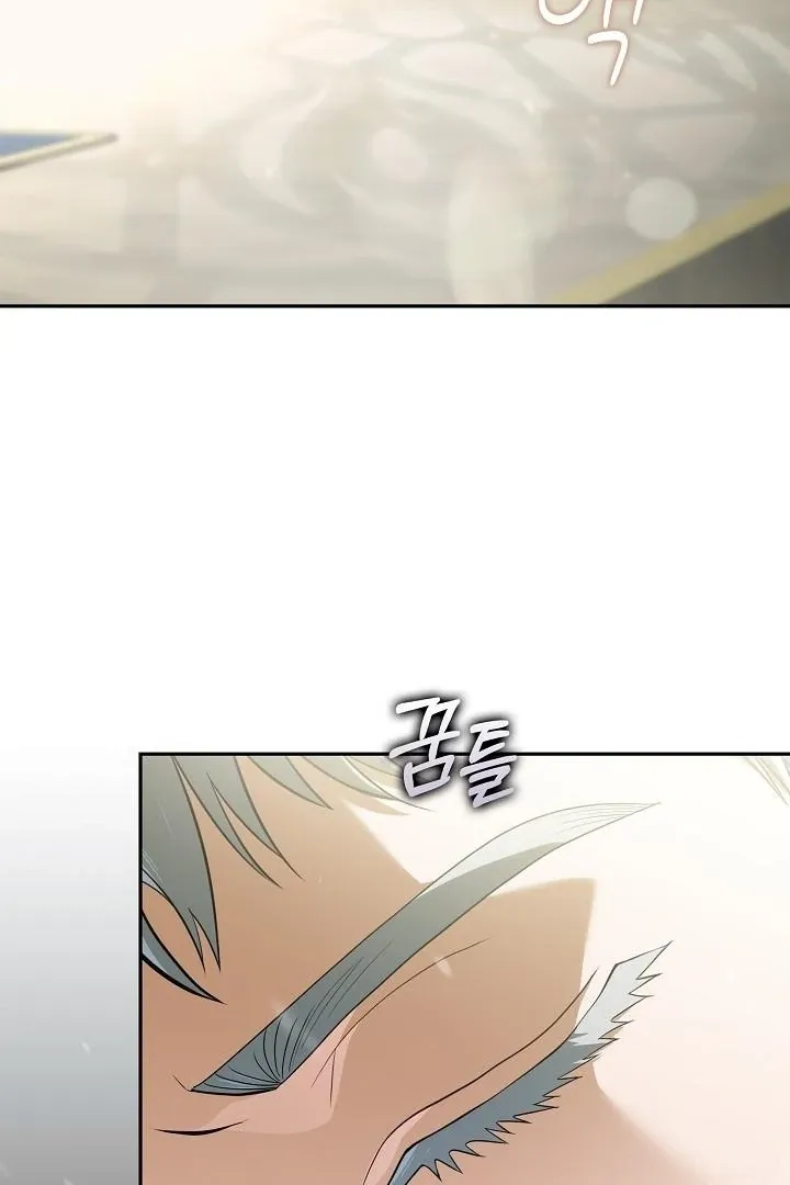 The Only Way to Achieve World Peace Chapter 12 page 5 - 