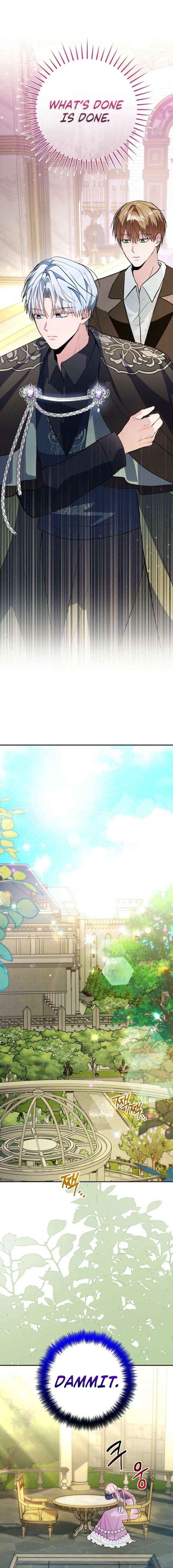 The Oracle of the Villainous Baby Chapter 15 page 9 - 