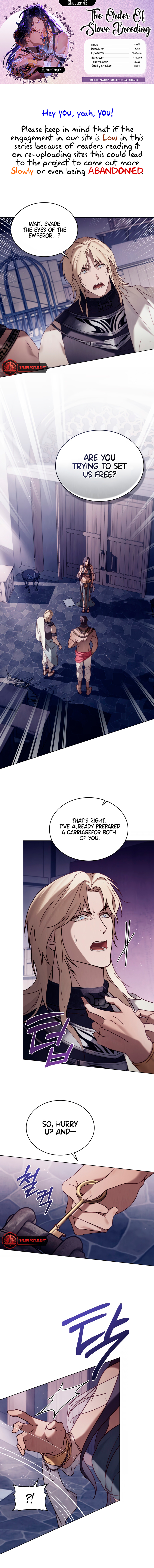 The Order Of Slave Breeding Chapter 42 page 1 - 