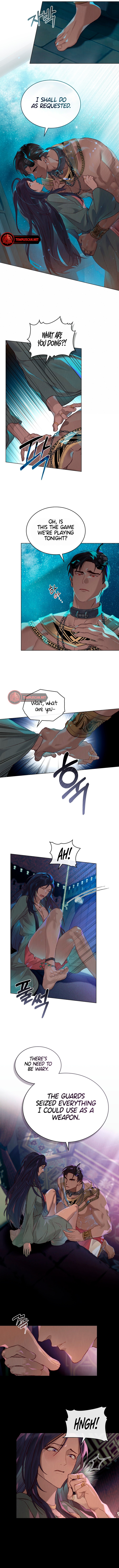 The Order Of Slave Breeding Chapter 6 page 5 - 