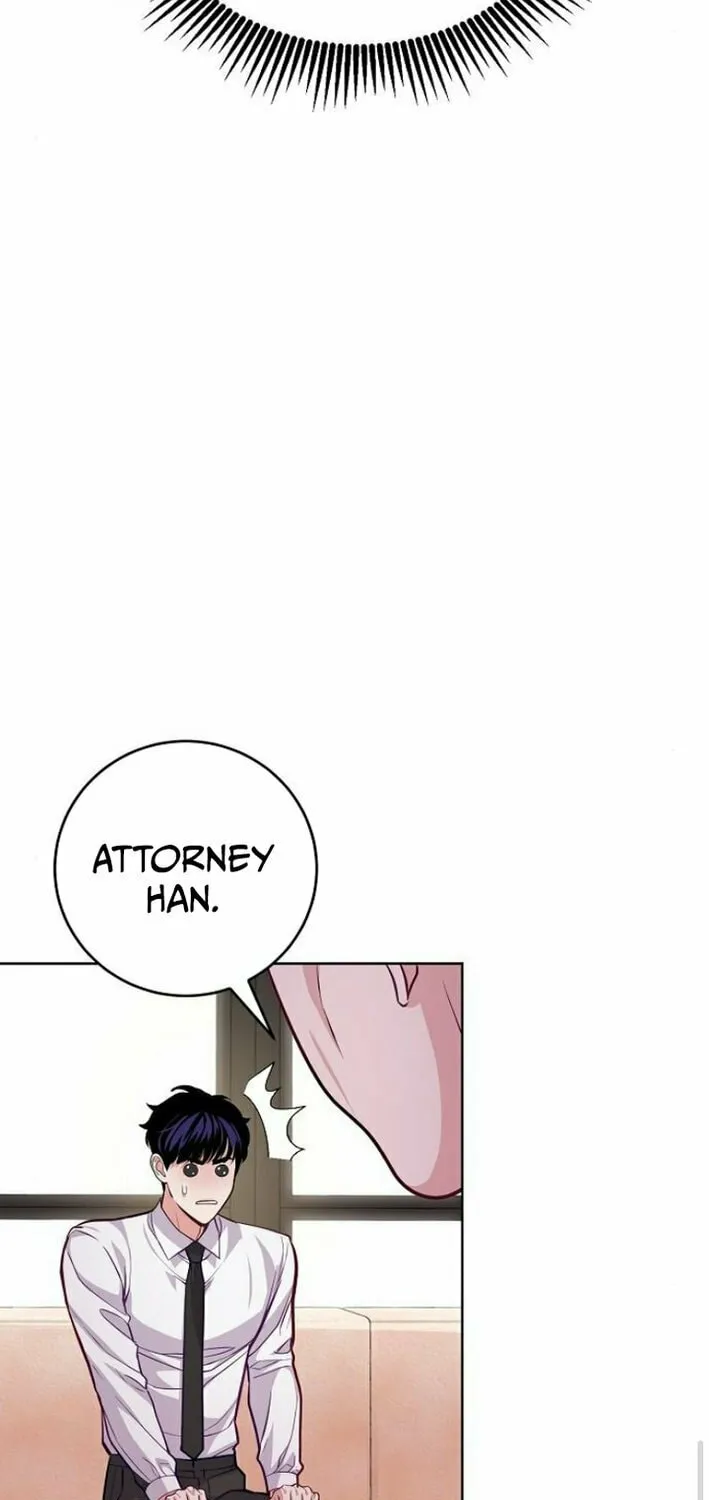 The Ordinary Lawyer