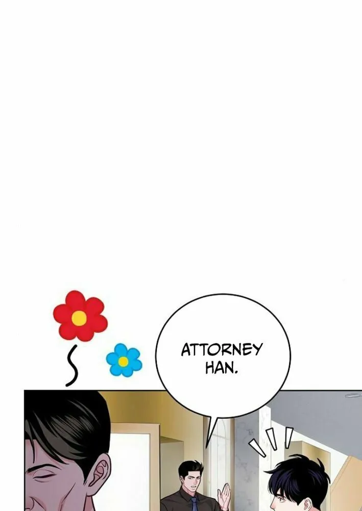 The Ordinary Lawyer
