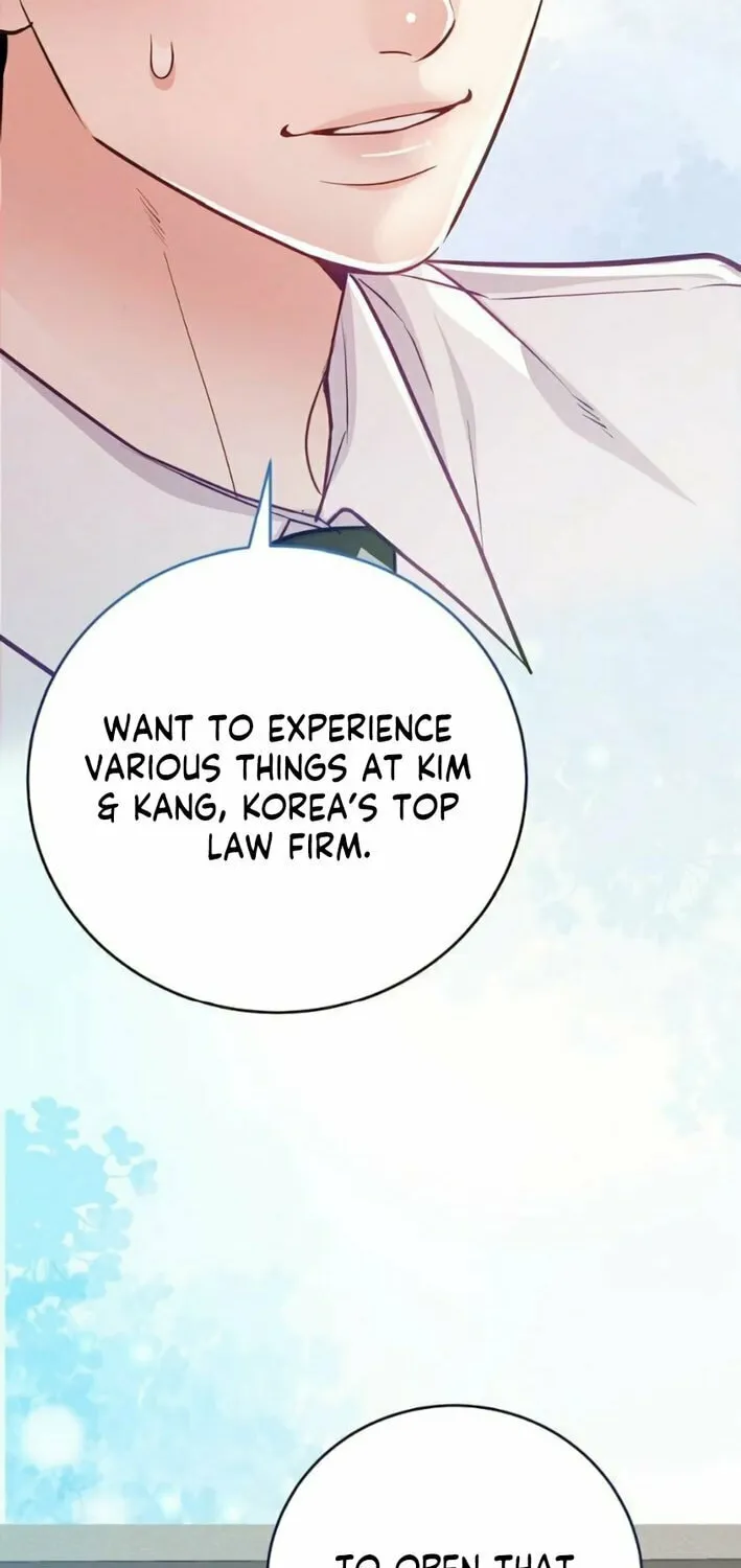 The Ordinary Lawyer