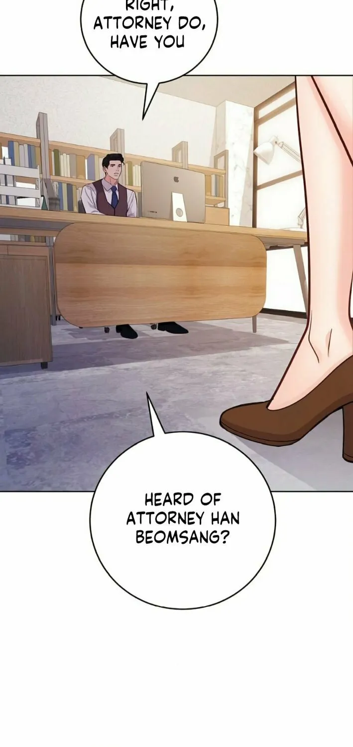 The Ordinary Lawyer
