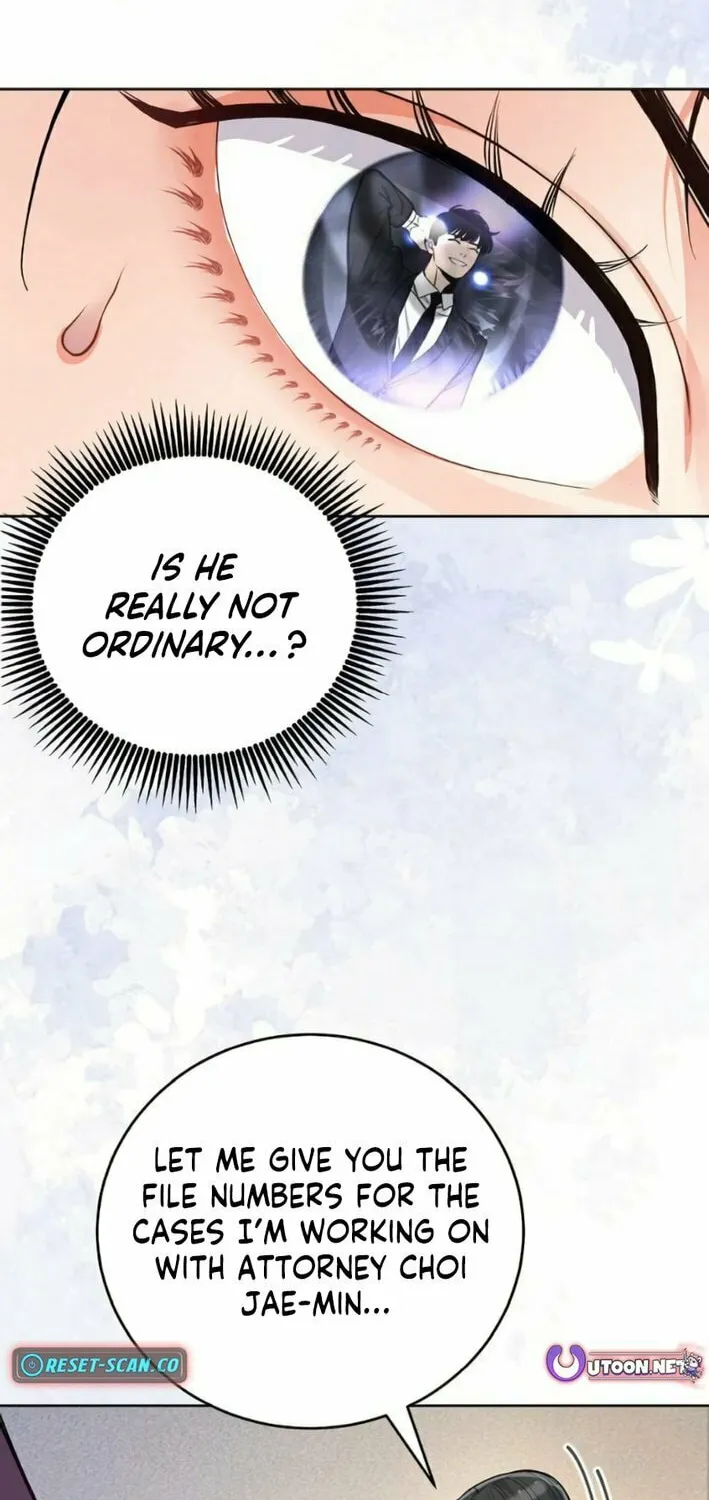 The Ordinary Lawyer