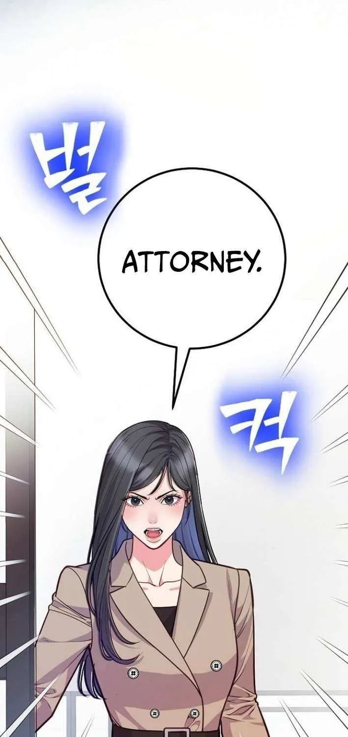 The Ordinary Lawyer