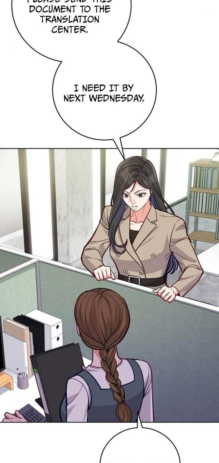 The Ordinary Lawyer
