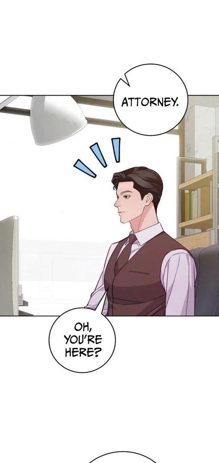The Ordinary Lawyer