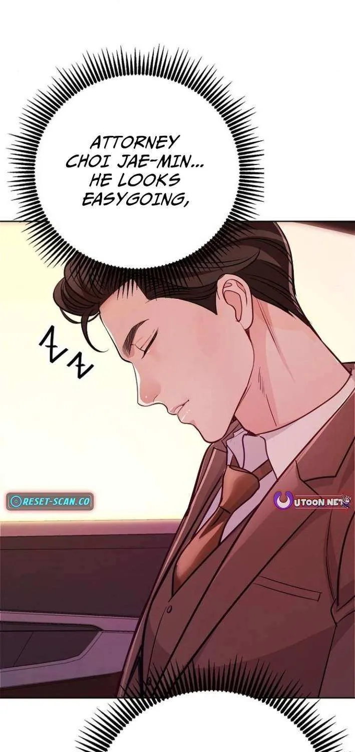 The Ordinary Lawyer