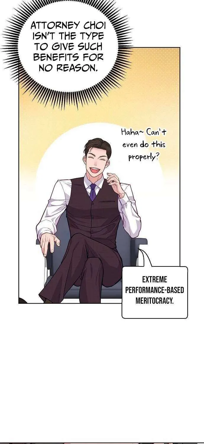 The Ordinary Lawyer