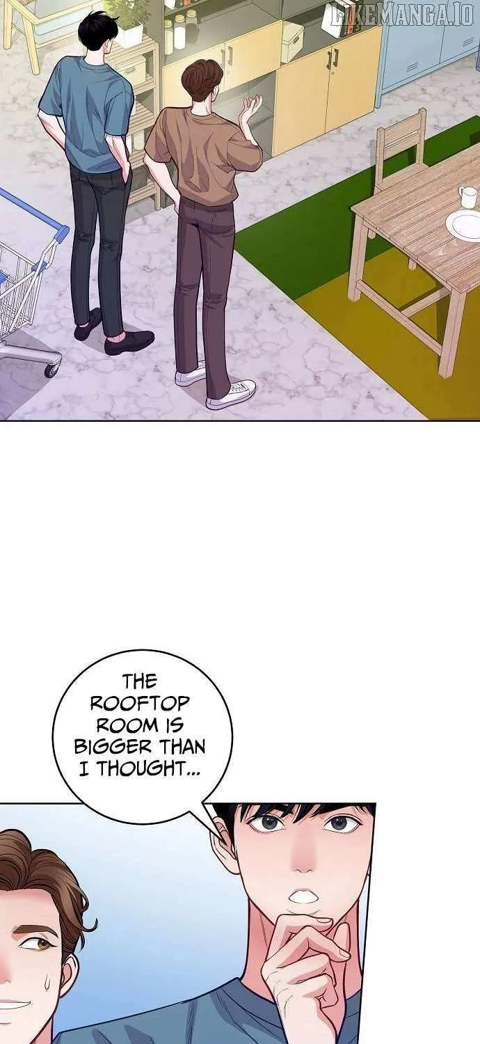 The Ordinary Lawyer