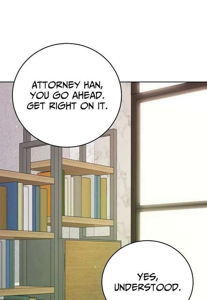 The Ordinary Lawyer