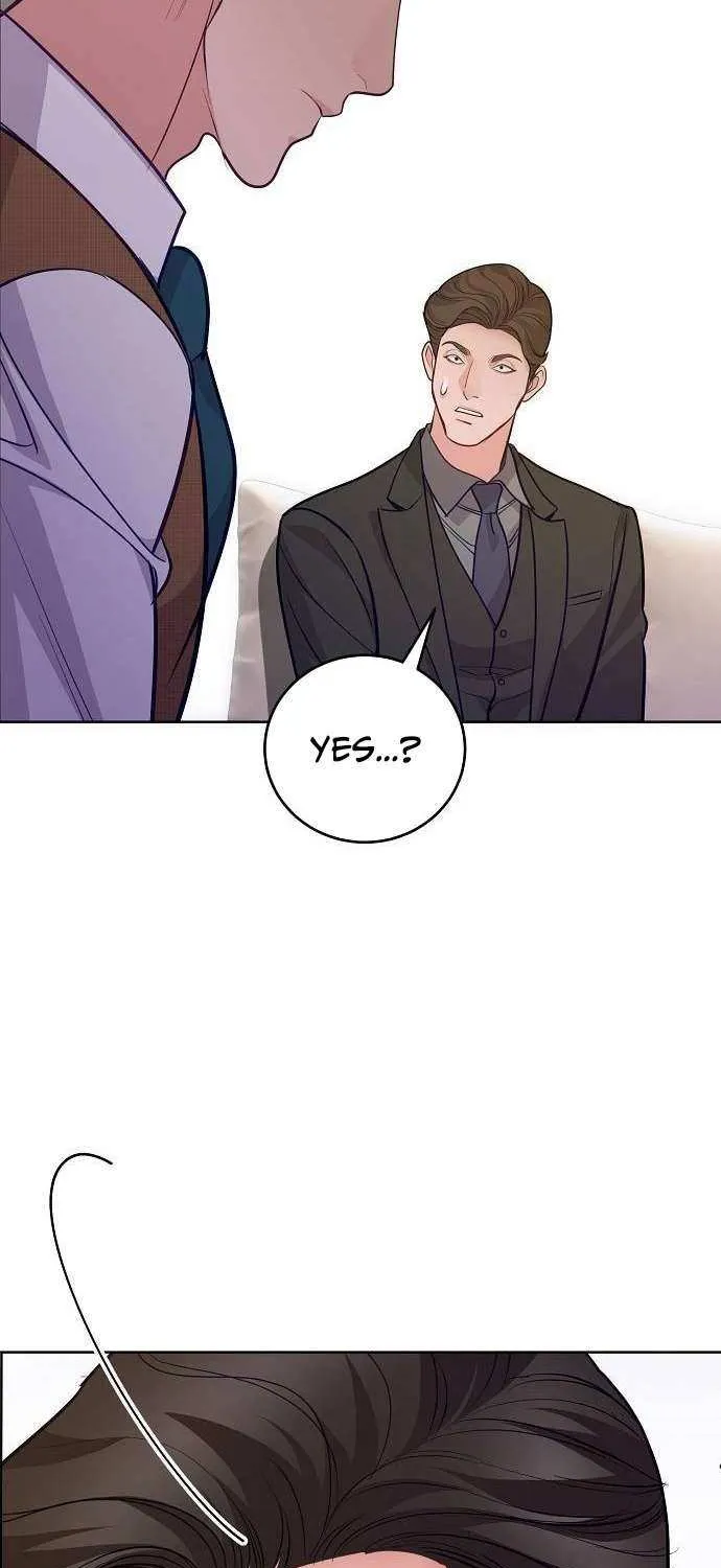 The Ordinary Lawyer