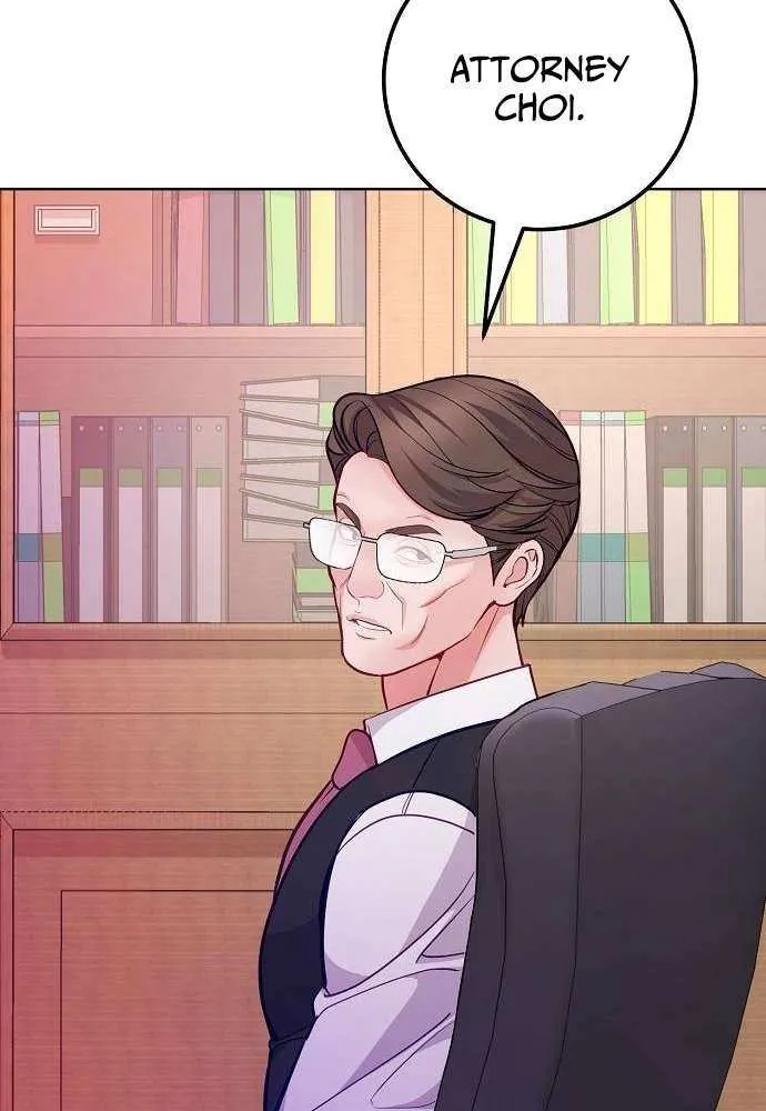 The Ordinary Lawyer