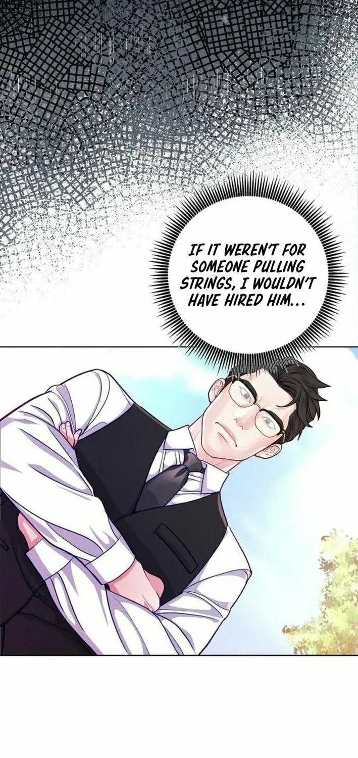 The Ordinary Lawyer