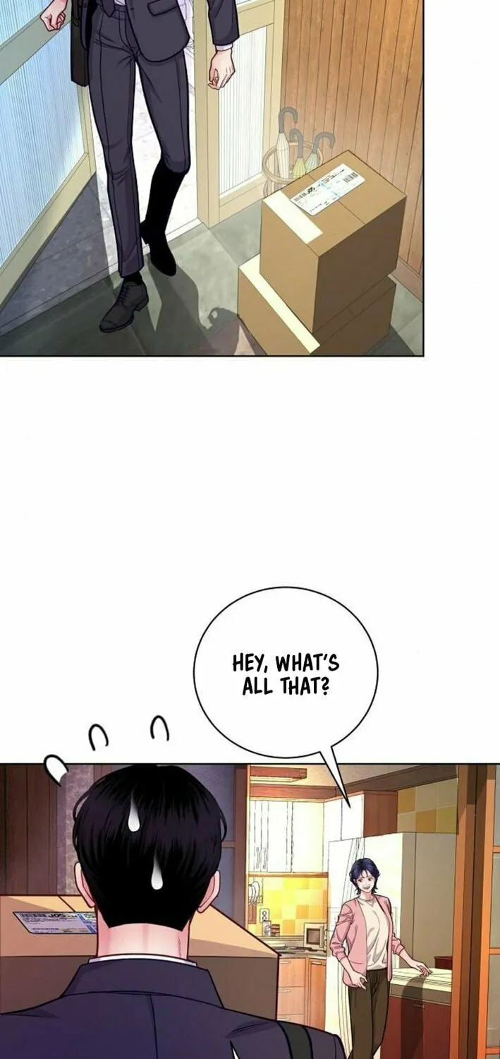 The Ordinary Lawyer