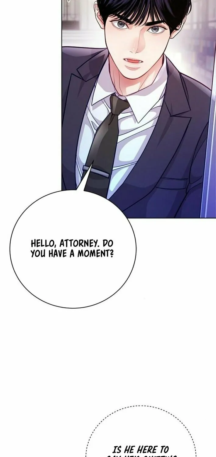 The Ordinary Lawyer