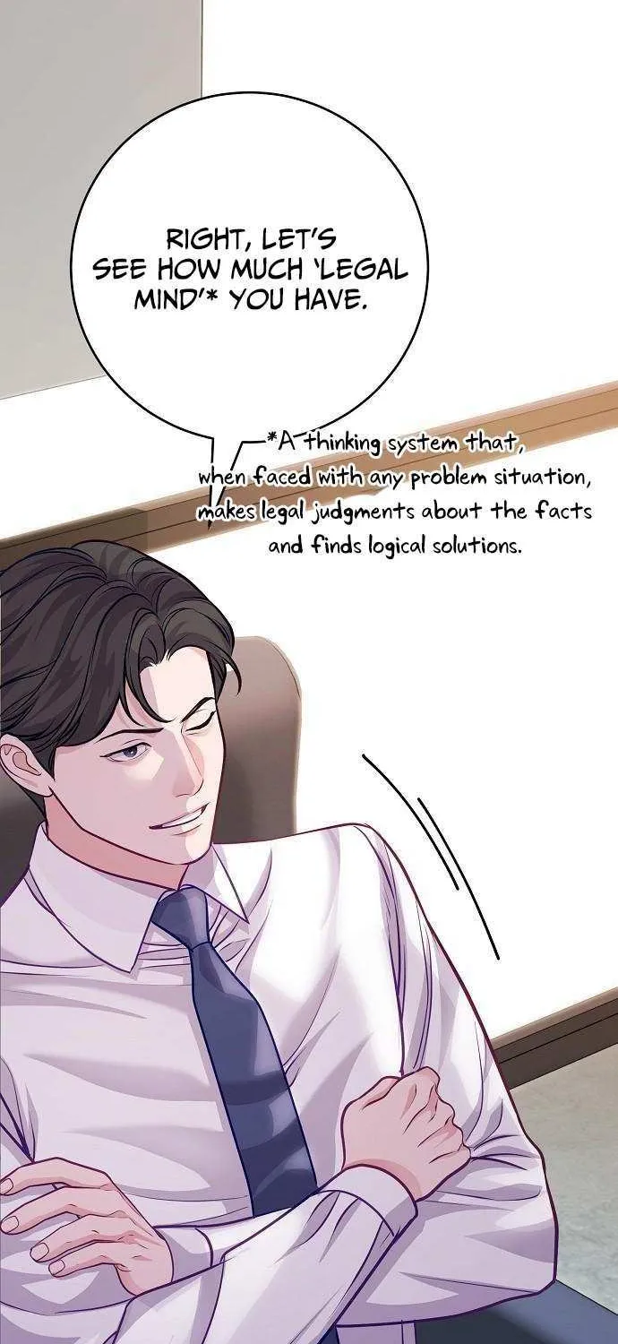 The Ordinary Lawyer