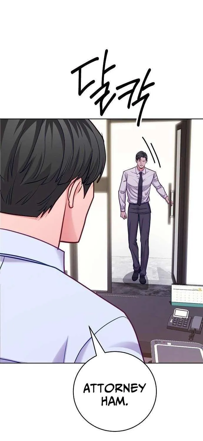 The Ordinary Lawyer